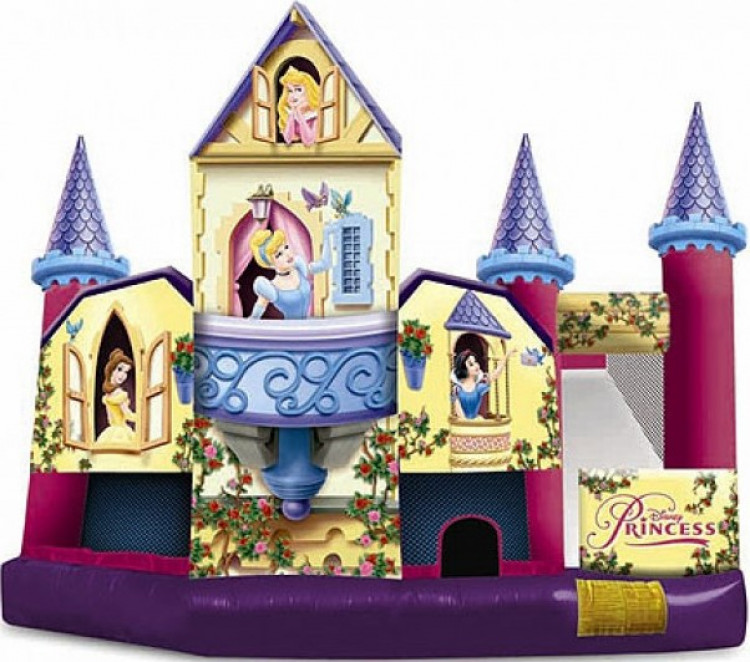 Disney Princess Collection 3D 5 In 1 Combo