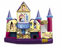 Disney Princess 3D 5 in 1 Combo w/ Wet Slide